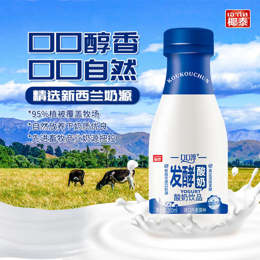 椰泰口口淳发酵酸奶酸奶饮品280ml6瓶组合装