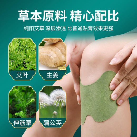 陈李济艾草膝盖贴12贴盒适用于膝盖关节疼痛