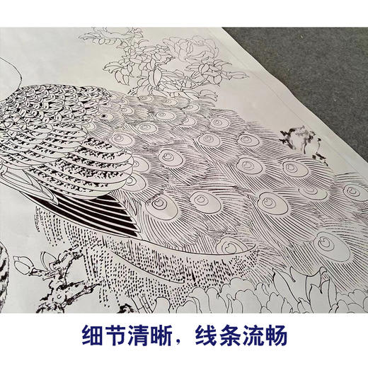 有步骤陈军竖幅工笔花鸟画白描底稿孔雀牡丹雍容华贵有步骤图可选cj34