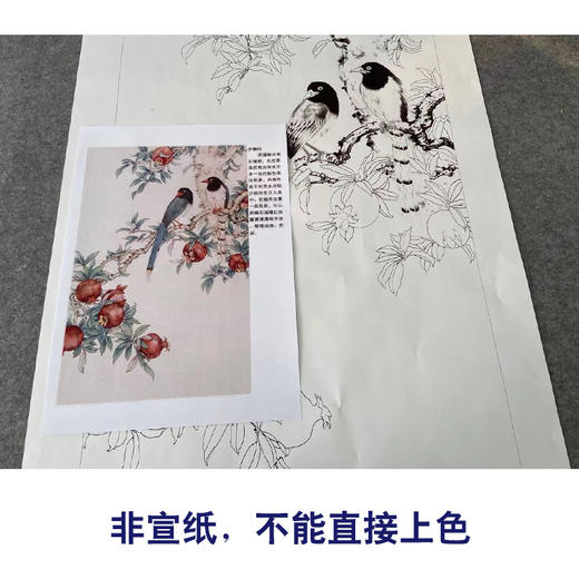 有步骤陈军工笔画白描底稿石榴蓝鹊金秋果实多种白描尺寸和步骤图可选