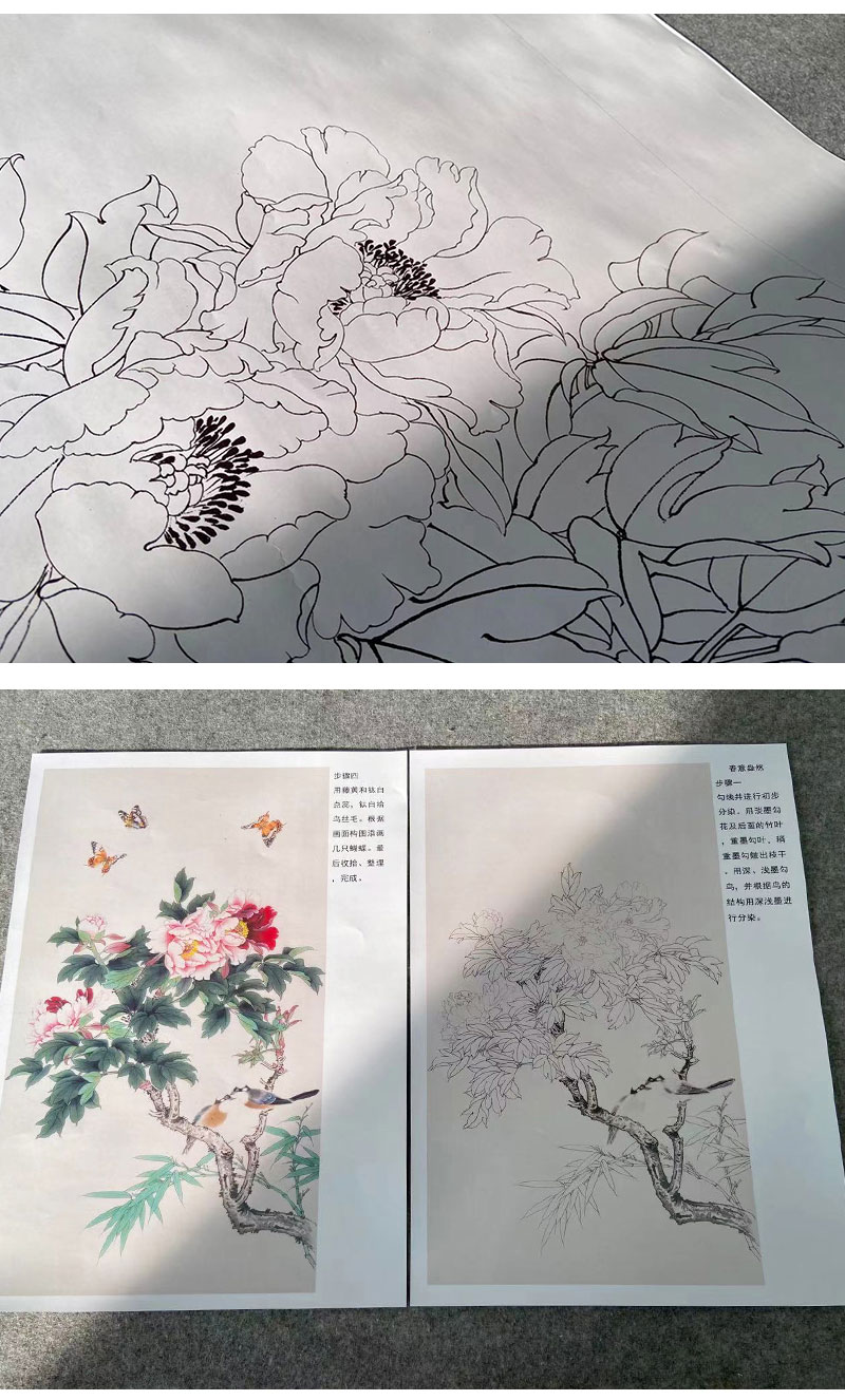 有步骤陈军四尺竖幅工笔花鸟画白描底稿牡丹春意盎然有步骤图可选cj11