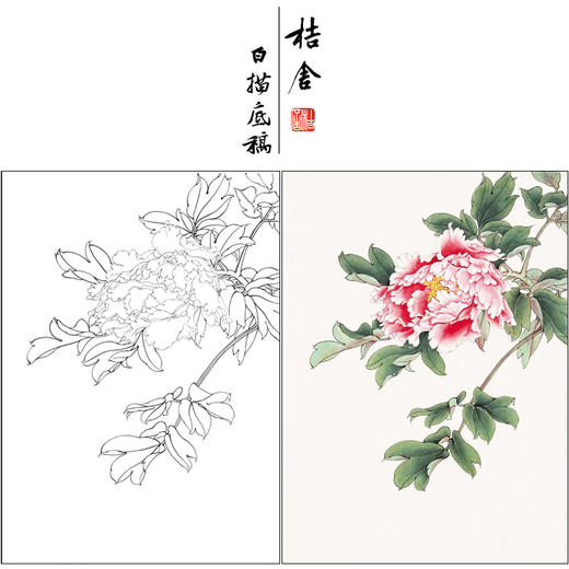 有步骤陈军工笔花鸟画白描底稿牡丹春暖花开斗方小品册页有步骤图可选