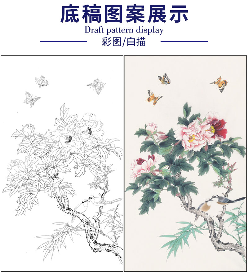 有步骤陈军四尺竖幅工笔花鸟画白描底稿牡丹春意盎然有步骤图可选cj11
