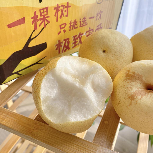 山西蜂蜜脆梨1012颗装净重485斤