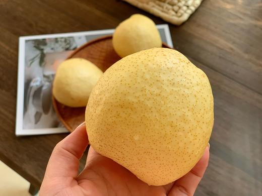 山西蜂蜜脆梨1012颗装净重485斤