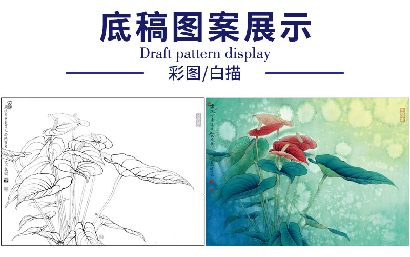 有步骤大彩图李晓明工笔花鸟画白描底稿红掌写生图斗方小品册页kb12