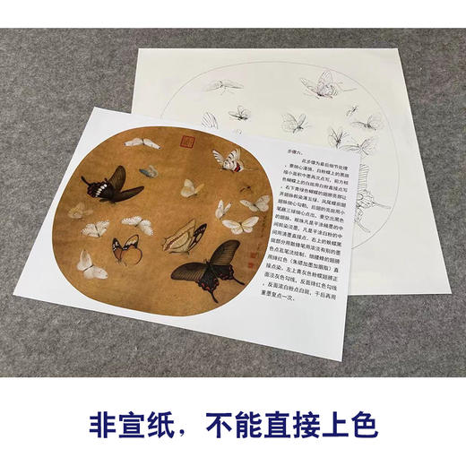 有步骤大彩图李晓明工笔花鸟小品画白描底稿蝴蝶临宋晴春蝶戏图kc36