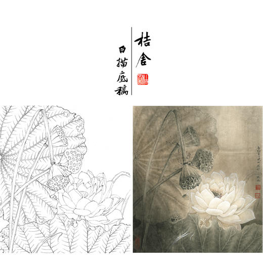 有步骤大彩图李晓明工笔花鸟画白描底稿荷花图亘古斗方小品册页ke16