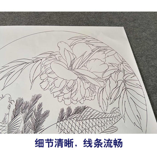 有步骤大彩图郑玲玲工笔画白描稿鲤逐清波多种尺寸zl21