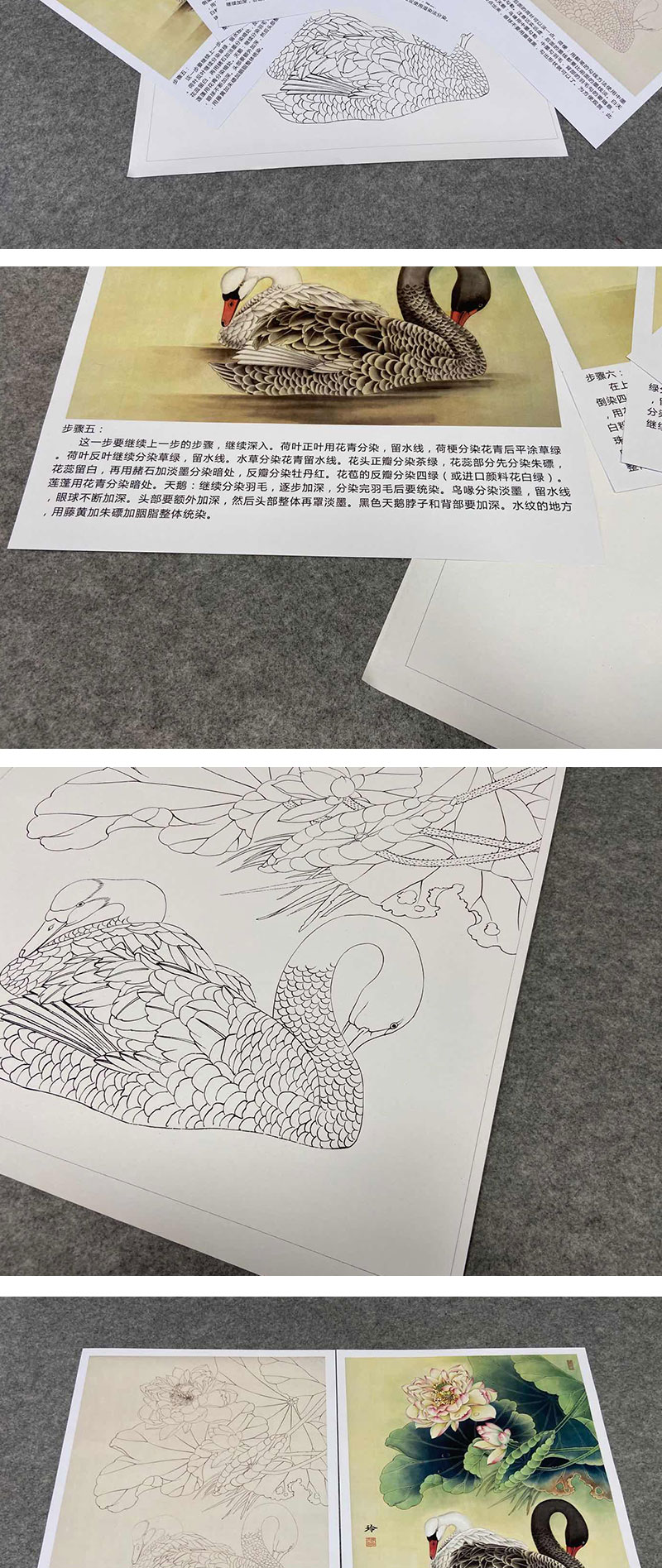 有步骤大彩图郑玲玲工笔花鸟画白描稿荷花天鹅清荷丽影斗方小品册页zl