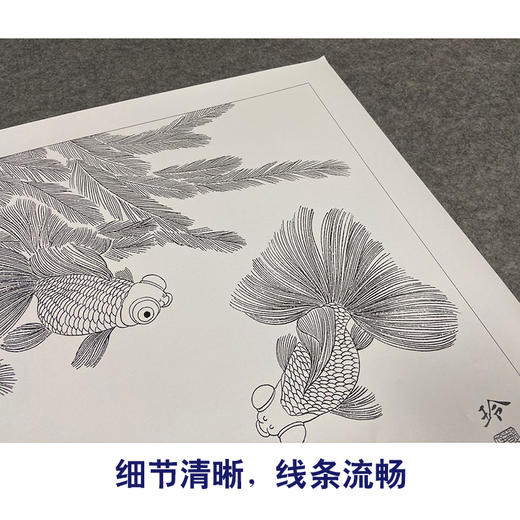 有步骤大彩图郑玲玲工笔花鸟画白描稿金鱼荷花金玉满堂斗方小品册页zl