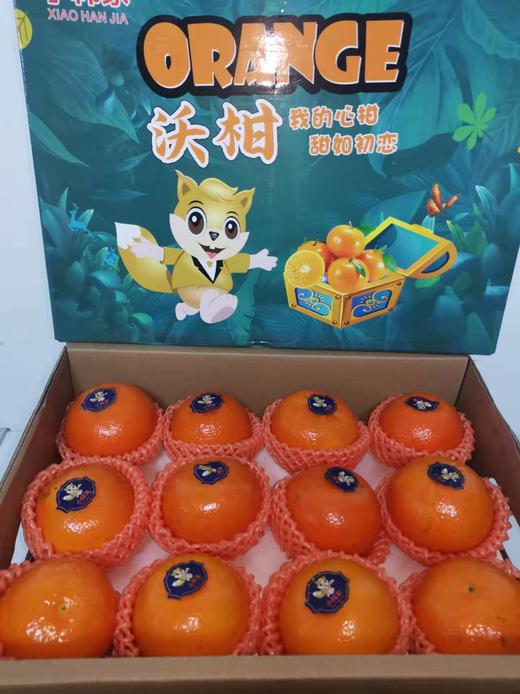 云南香妃柑礼盒无酸纯甜原箱约75斤嫩甜多汁