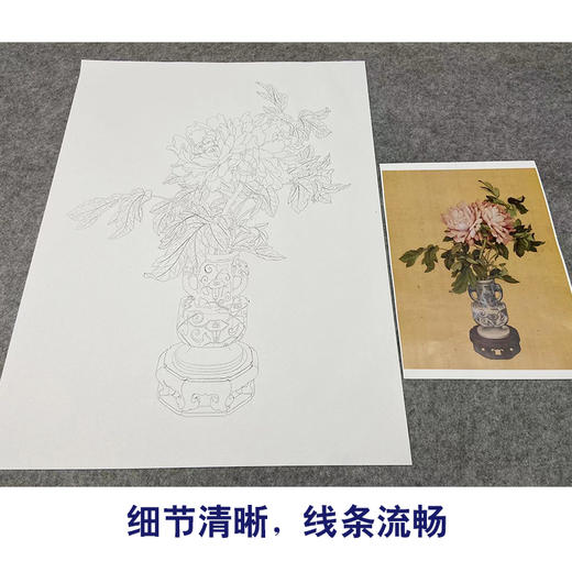 郎世宁工笔花鸟白描底稿瓶花图斗方小品册页多种白描尺寸可选ls10