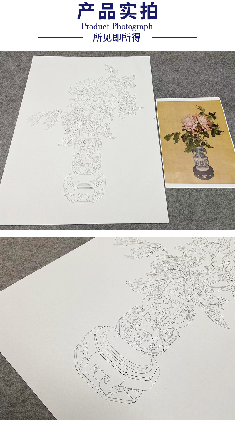 郎世宁工笔花鸟白描底稿瓶花图斗方小品册页多种白描尺寸可选ls10