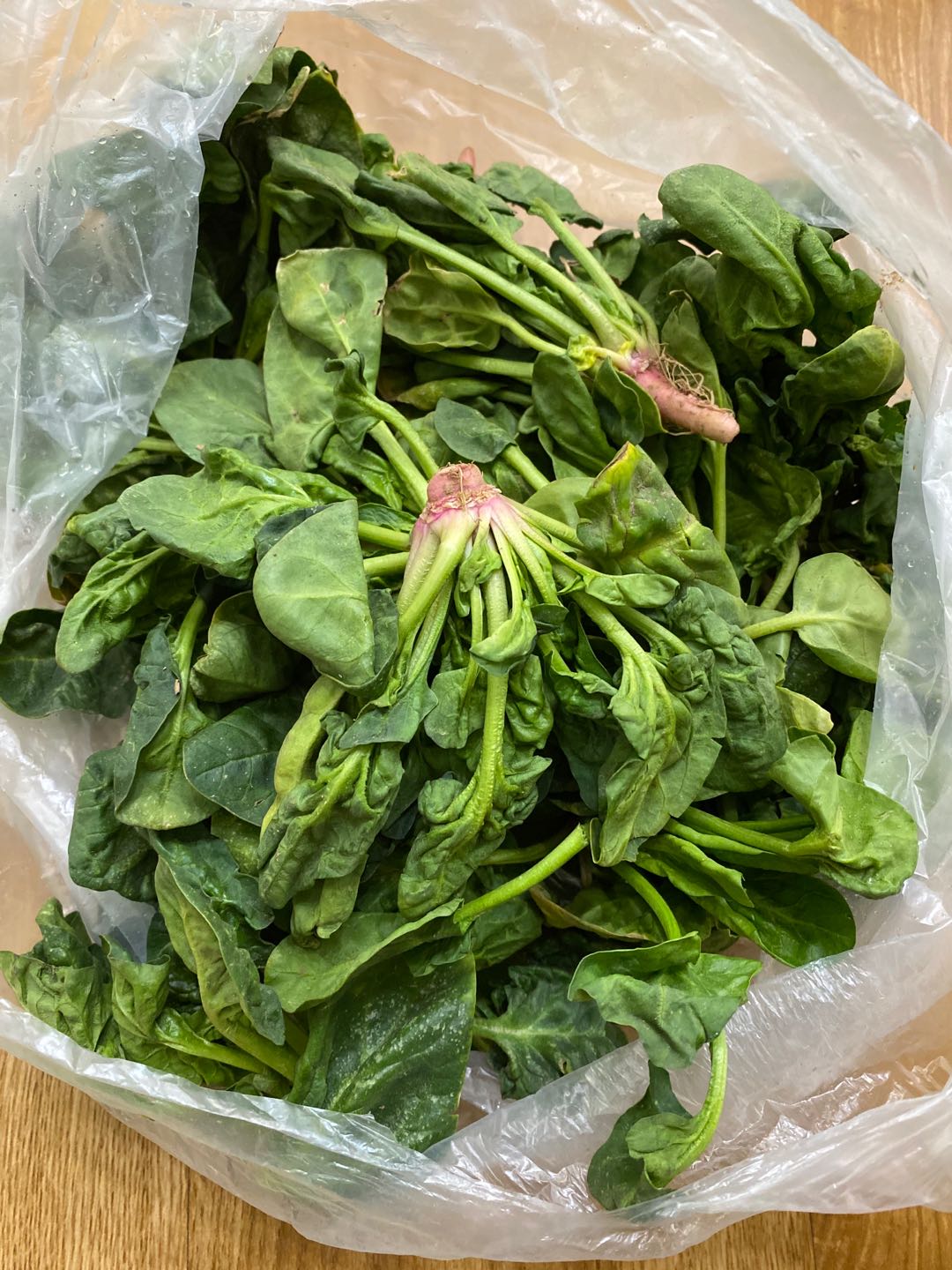 农家土菠菜入口顺滑甘甜2.5斤装