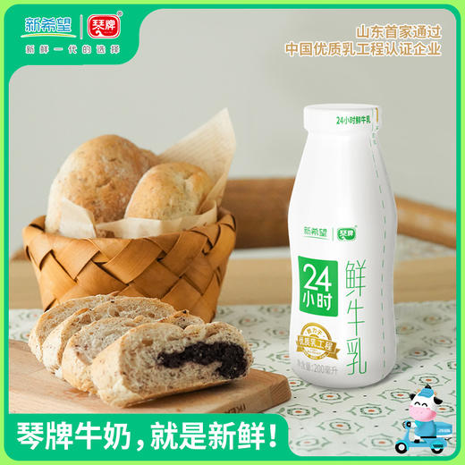 新希望琴牌玻璃瓶24小时巴氏鲜牛乳200ml