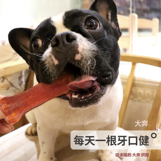 派福狗狗宠物磨牙棒洁齿耐咬祛除口臭预防拆家