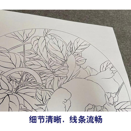 龚雪青工笔花鸟画白描底稿牡丹十二妃小品一套十二幅册页尺寸3535厘米