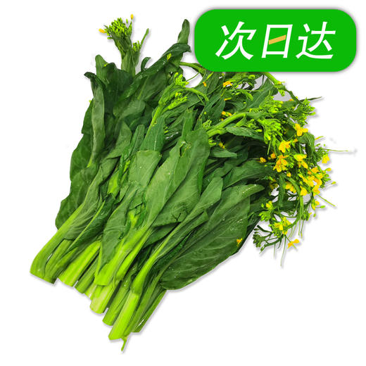 时令鲜新鲜油菜心约500克