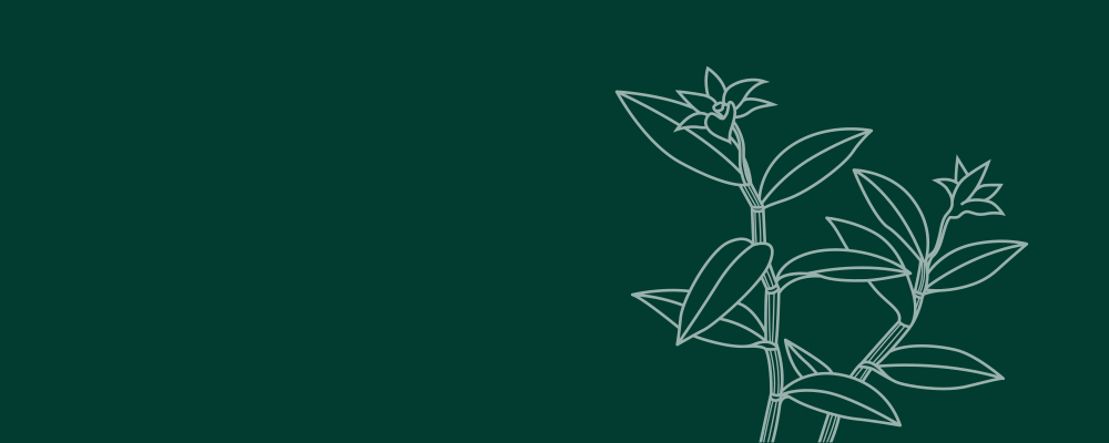 神雁卡 商品图0