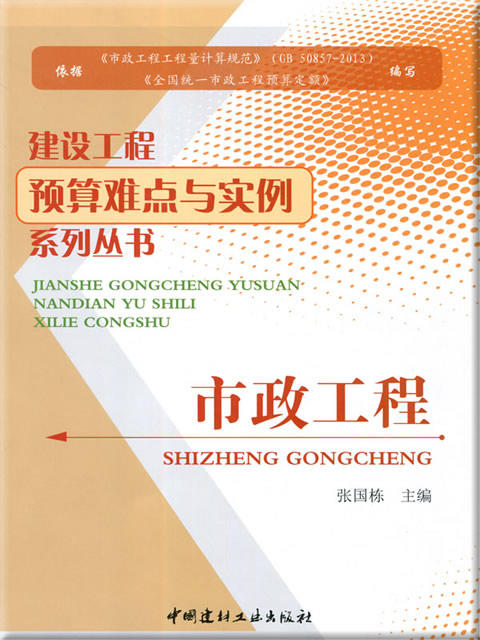市政工程/建设工程预算难点与实例系列丛书 商品图0