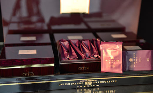 【生命之叶】收藏级紫娟 天下 母树 仅供典藏 商品图1