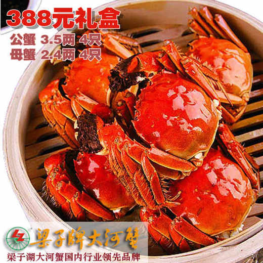 【金秋蟹礼】梁子牌梁子湖大河蟹礼盒388型 螃蟹 商品图0