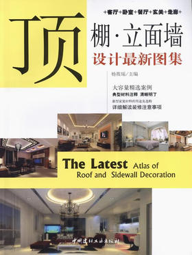 顶棚.立面墙设计最新图集