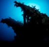 【度假村】巴厘岛图蓝本潜水度假套餐 - OceanView Dive Resort 商品缩略图1