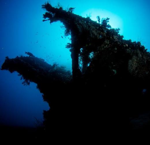 【度假村】巴厘岛图蓝本潜水度假套餐 - OceanView Dive Resort 商品图1