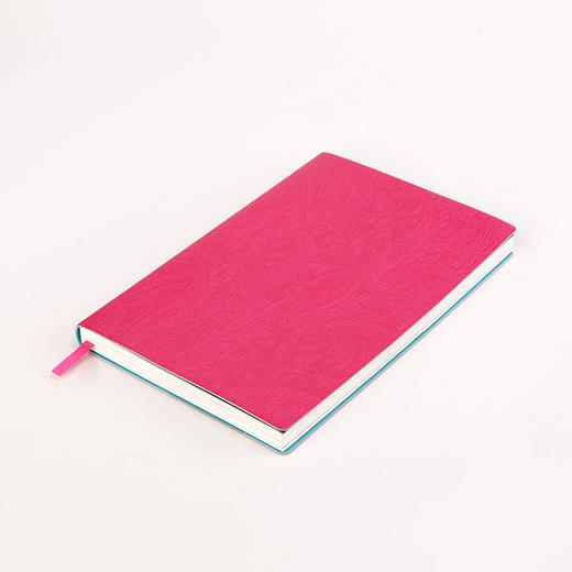 杨丽萍同款民族风孔雀本子/ 原创文具笔记本 商品图5