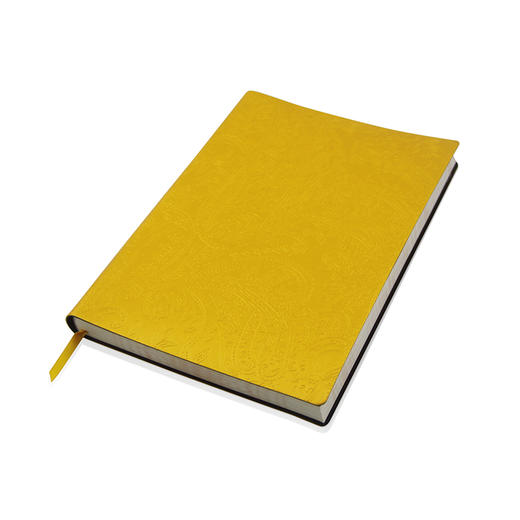 杨丽萍同款民族风孔雀本子/ 原创文具笔记本 商品图7