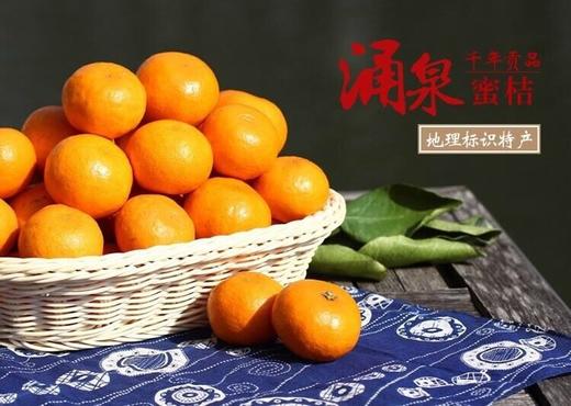蜜桔和蜜橘是什么意思区别图片大全(蜜桔和蜜橘是什么意思区别图片大全图解)