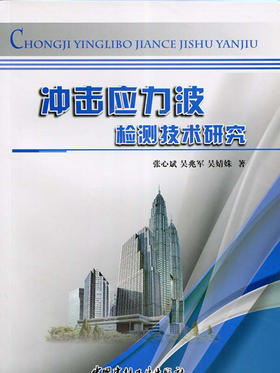 冲击应力波检测技术研究
