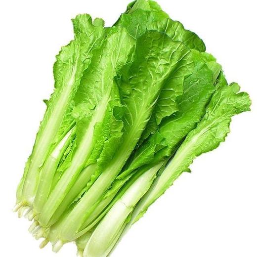 杭白菜(500g)穴植生态 商品图0