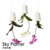 【为思礼 Sky Planter】天空花园 倒挂式空中花盆 创意花器 品味时尚家居 商品缩略图3