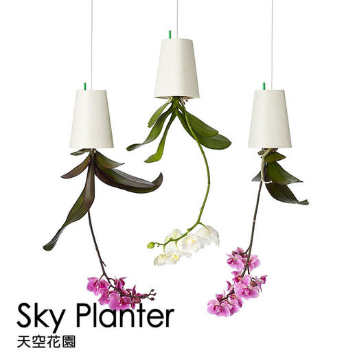 【为思礼 Sky Planter】天空花园 倒挂式空中花盆 创意花器 品味时尚家居 商品图3