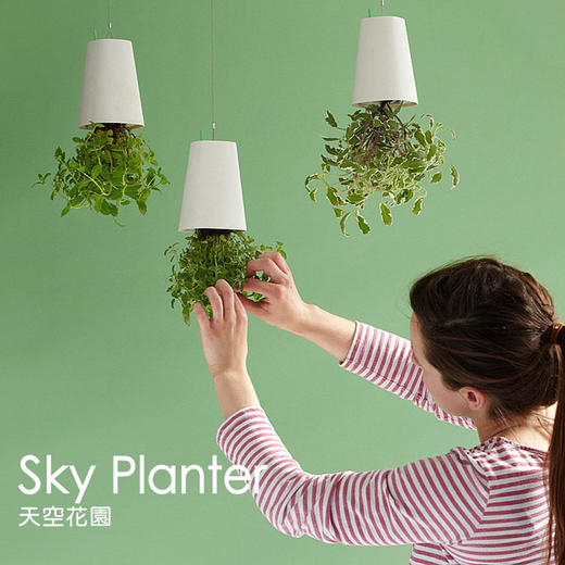 【为思礼 Sky Planter】天空花园 倒挂式空中花盆 创意花器 品味时尚家居 商品图1
