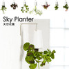 【为思礼 Sky Planter】天空花园 倒挂式空中花盆 创意花器 品味时尚家居 商品缩略图4