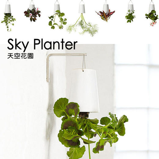 【为思礼 Sky Planter】天空花园 倒挂式空中花盆 创意花器 品味时尚家居 商品图4