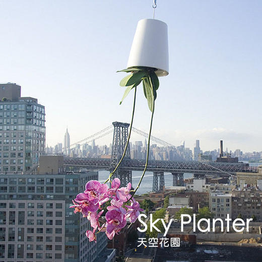 【为思礼 Sky Planter】天空花园 倒挂式空中花盆 创意花器 品味时尚家居 商品图2