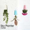 【为思礼 Sky Planter】天空花园 倒挂式空中花盆 创意花器 品味时尚家居 商品缩略图0