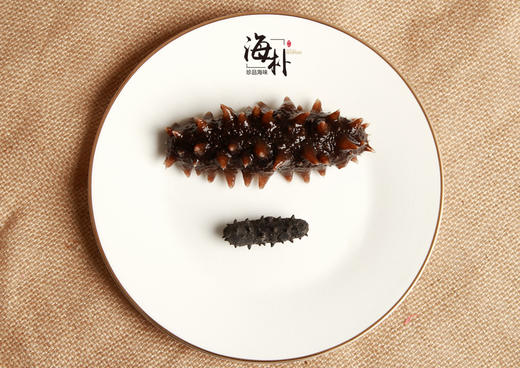 【包邮】海朴藏珑200克礼盒（干海参） 商品图3