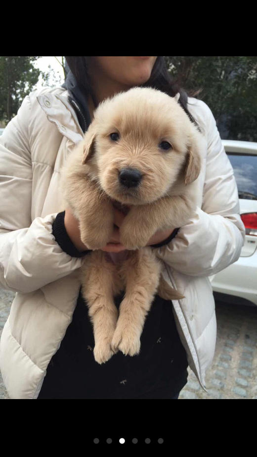 好味猪牛肉脯 商品图1