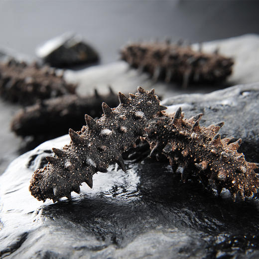 AG海朴中秋送礼臻鸾干海参500g送礼礼盒 商品图2