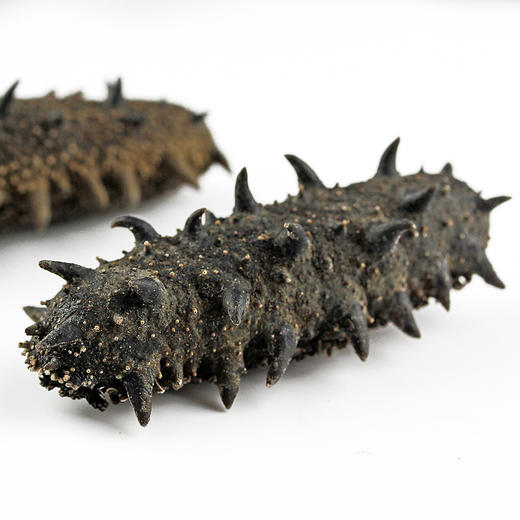 AG海朴中秋送礼臻鸾干海参500g送礼礼盒 商品图1