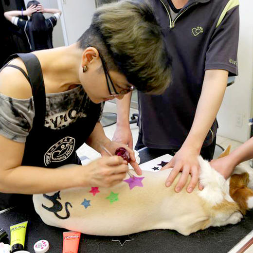 宠物彩色发泥-黑色 OPAWZ小爪印 商品图2