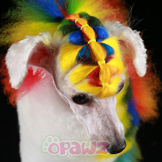 宠物持久染色剂--小瓶套装 OPAWZ小爪印 商品图10