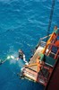 【度假村】马来西亚马布诗巴丹钻井平台潜水 - Seaventures Dive Rig 商品缩略图5