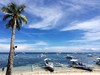 【度假村】菲律宾薄荷Bohol潜水度假村 - SeaQuest 老牌五星潜店 商品缩略图3